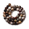 Natural Mexico Crazy Agate Beads Strands X-G-L615-A01-02-9