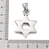 316 Surgical Stainless Steel Pendants STAS-K276-14B-AS-3