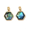 Natural Paua Shell Hexagon Charms KK-G538-30G-1