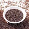 MIYUKI Round Rocailles Beads SEED-X0054-RR0257-2