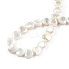 Natural Freshwater Shell Beads Strands SHEL-N026-220A-4