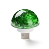 Resin & Epoxy Resin Decor Plate Night Light DJEW-K030-01D-2