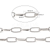 Iron Paperclip Chains CH-R026-19x8mm-P-5