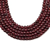Gemstone Beads Strands G-G099-3mm-36-2