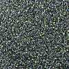 MIYUKI Round Rocailles Beads SEED-JP0009-RR3201-3