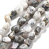 Natural White Opal Beads Strands G-C179-F02-01-1