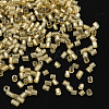 11/0 Two Cut Glass Seed Beads CSDB22-2