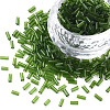 Transparent Glass Bugle Beads SEED-N005-001-C05-1