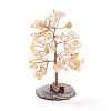 Natural Citrine Chips & Agate Pedestal Display Decorations DJEW-A001-04D-2