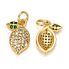 Brass Micro Pave Cubic Zirconia Charms LS-ZIRC-L093-18G-1