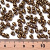6/0 Glass Seed Beads SEED-US0003-4mm-601-3
