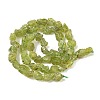 Raw Rough Natural Peridot Beads Strands G-M453-D12-3