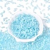 FGB Grade A Drawbench Style Glass Seed Beads SEED-Q040-01A-05-2