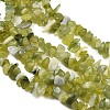 Natural Jade Chip Beads Strands X-G-B160-B02-4