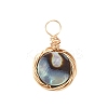 Natural Abalone Shell/Paua Shell Pendants PALLOY-JF00457-01-2