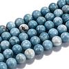 Natural Gemstone Beads Strands G-L367-01-12mm-4
