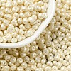 6/0 Glass Seed Beads SEED-L011-08A-16-1