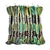 6-Ply Polyester Embroidery Floss OCOR-FZ0001-01Q-1