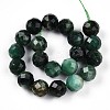 Natural Fuchsite Beads Strands G-S345-10mm-33-3