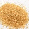 8/0 Round Glass Seed Beads SEED-J018-F8-62-2