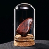 Raw Natural Mahogany Obsidian Nuggets Ornaments PW-WG13785-23-1