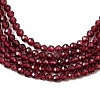 Natural Garnet Beads Strands G-J002-20-4