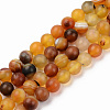 Natural Sardonyx Beads Strands G-S369-002C-A02-1