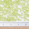 MIYUKI Round Rocailles Beads X-SEED-G007-RR0172-4