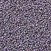 MIYUKI Delica Beads SEED-X0054-DB1065-3