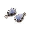 Natural Blue Lace Agate Teardrop Charms STAS-B074-04P-02-2