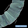 Mermaid Color Polyester Pleated Lace Trim Ribbon DIY-WH0401-58C-2