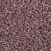 TOHO 11/0 Round Beads X-SEED-TR11-0771-2
