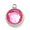 304 Stainless Steel Charms STAS-I165-04A-P-01-1