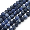 Frosted Natural Sodalite Round Bead Strands G-M064-10mm-01-1