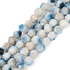Natural Blue Ice Glacierite Stone Beads Strands G-B092-A01-01-1