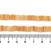 Handmade Lampwork Beads Strands LAMP-Q037-02B-20-4