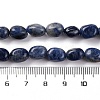 Natural Sodalite Beads Strands G-G146-A03-01-5