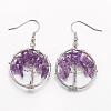 Dangle Earrings EJEW-N0030-08-1