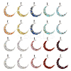 20Pcs 10 Styles Natural Mixed Stone Chip Pendants PALLOY-FH00070-1