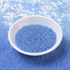 MIYUKI Round Rocailles Beads SEED-G007-RR0159-2