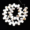 Natural Freshwater Shell Beads Strands SHEL-Q024-008-2