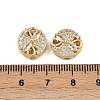 Brass Pave Cubic Zirconia Multi-strand Links ZIRC-F145-06G-01-3