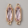 Golden Plated Brass Pave Glass Connector Charms FIND-WH0110-728G-06-1