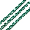 Spray Painted 304 Stainless Steel Curb Chains STAS-B067-05A-10-1