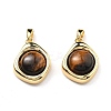 Natural Tiger Eye Pendants KK-B129-01G-1