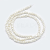 Natural Cultured Freshwater Pearl Beads Strands PEAR-F007-59-2