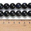 Natural Black Labradorite Beads Strands G-L642-B15-12mm-5