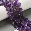 Natural Amethyst Beads Strands G-P534-A13-01-2