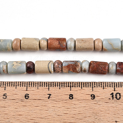 Natural Shoushan Stone Beads Strands G-N346-03A-07-1