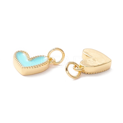 Rack Plating Brass Enamel Charms KK-D073-27G-03-1